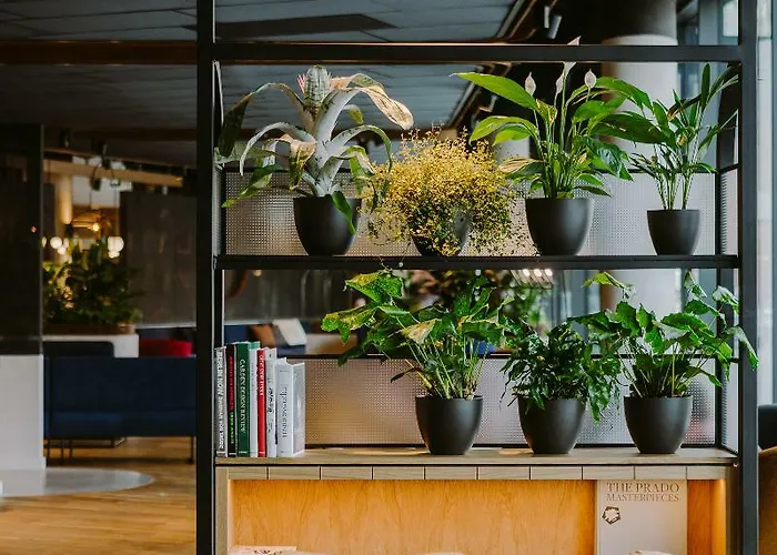 فندق Puro Centrum